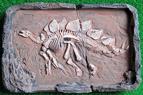 ステゴサウルス発掘