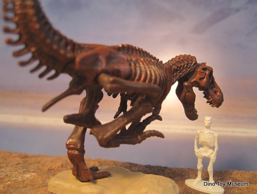 ティラノサウルス全身骨格